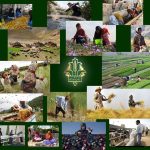 پرداخت ۸۰۲۲ میلیارد ریال تسهیلات ارزان قیمت برای اشتغال پایدار روستاییان و عشایر توسط بانک کشاورزی